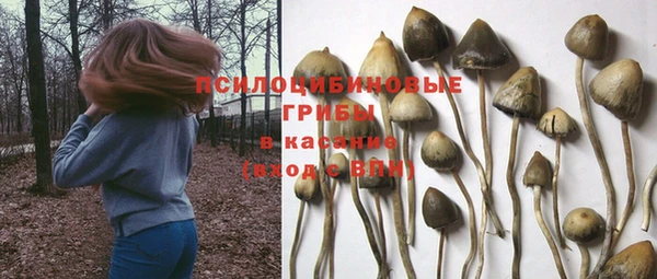 прущая мука Абдулино