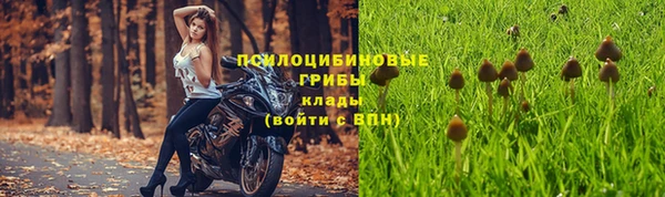 МДПВ Абинск